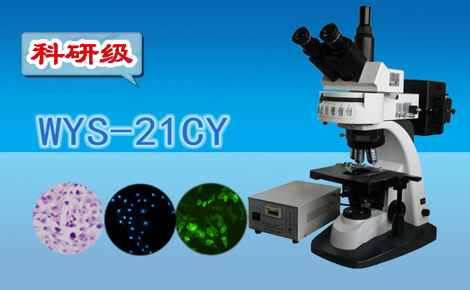 熒光顯微鏡技術(shù)包括哪幾種？